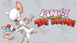 Pinky and the brain are forced to befriend their eccentric neighbor, sultana, to retrieve an important package he has accepted on their behalf. Watch Steven Spielberg Presents Pinky And The Brain The Complete First Volume Prime Video
