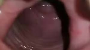 Sperma in muschi von innen. Dick Betritt Die Vagina Sehr Nah Beim Sex Zu Hause Porno Video Online
