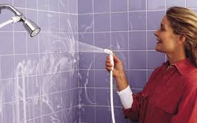 shower cleaning removable sprayer