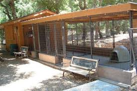 How To Build A Dog Kennel In The Spring Chenil Chien Chenil Chien