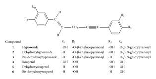 Image result for Hypoxis nyasica