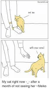Ther Cantalkcom Pet Me With Your Eyes My Cat Right Now After A Month Of Not Seeing Her Meiko Cats Meme On Me Me