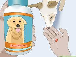Maybe you would like to learn more about one of these? How To Treat Folliculitis In Dogs 11 Steps With Pictures