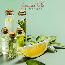 At healthgenie find latest collections of health and fitness, nutrition, health care devices, baby care, beauty care and personal care, diabetes care, elderly care and similar products featuring the top brands. Healthcare Wellness Products Plt Healthcare Fitness Matters Wellness Works