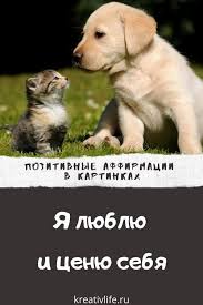 любовные смс после которых он не сможет думать о другой Luchshie Affirmacii V Kartinkah Psihologiya V 2020 G Psihologiya Utrennyaya Motivaciya Pravdivye Citaty