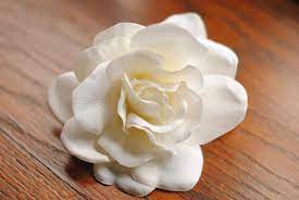 4 In White Or Ivory Gardenia Flower Hair Clip Wedding Etsy Flower Hair Clips Wedding Flower Hair Clips Wedding Hair Clips