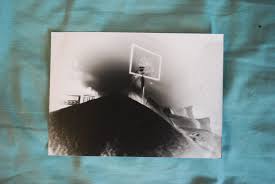 Free Photo Exposed Photopaper Chemicals Developed Exposed Free Download Jooinn