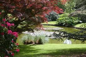 South Yorkshire Garden English Country Gardens Country Gardening South Yorkshire