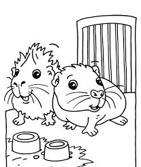 Guinea pigs are playful creatures. Guinea Pig Coloring Pages Best Coloring Pages For Kids