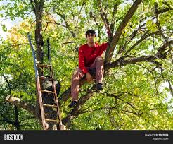 Pruning trees is of no small importance, because it depends on it how correctly the crown of the plant will. Tired Man Sits On Image Photo Free Trial Bigstock
