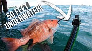 Gobukuri spearfishing highlights of 2020. Spearfishing On The Bottom For Dinner Gulf Of Mexico 2020 Youtube