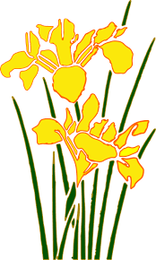 Download Plant Flora Petal Png Clipart Royalty Free Svg Png
