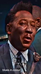 Bye Bye Blues: A Classic 1966 Blues Revival