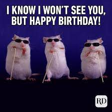 30 Of The Funniest Happy Birthday Memes Reader S Digest