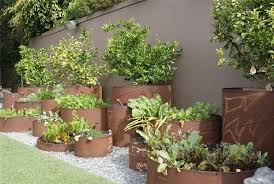 Check spelling or type a new query. Southern California Landscaping Venice Ca Photo Gallery Landscaping Network