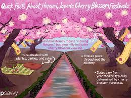 Our first project with be a one day project. Everything To Know About Japan S Cherry Blossom Festivals