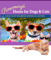 Easily find reliable local care for dogs, cats, birds and more! Rosemary S House For Dogs Cats