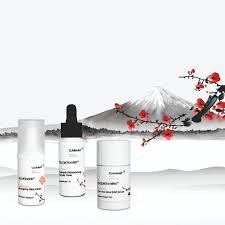 To revisit this article, visit my profile, the. Welcome Zenspiration Clariant Active Ingredients Introduces New Japanese Beauty Inspired Formulation Concept Injection Moulding World Magazine