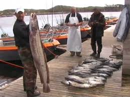 Check spelling or type a new query. Angeln In Norwegen Hitra Wo Anglertraume Wahr Werden Fishing Norge Norway Youtube
