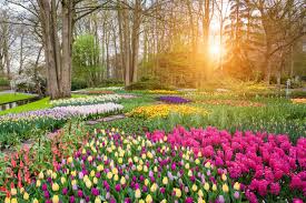 Appleyard flowers discount code uk. Articles By Tag Canton Oh Cutler Real Estate Cutler Blog