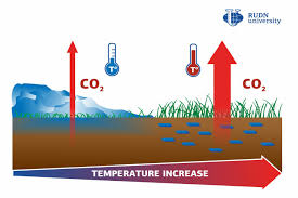 Check spelling or type a new query. Soil Bogging Caused By Climate Eurekalert Science News Releases
