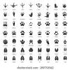 Draw an animal on every side or print the animal pictures out and stick them to the die. Https Encrypted Tbn0 Gstatic Com Images Q Tbn And9gcrafr7upv1cg17en K0qhm1txe61pxdoa4y8himsm2jrugxzex8 Usqp Cau