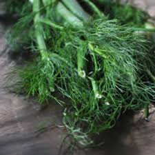 Dill, like parsley and fennel, draws the parsleyworm caterpillar, which is the larva of the black swallowtail butterfly. What Is Fennel And How Do I Use It Kitchn