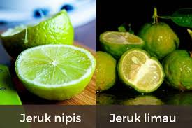 Ditulis oleh sam 27 des 2019 2 komentar. 5 Perbedaan Jeruk Nipis Dan Jeruk Limau Jangan Sampai Keliru