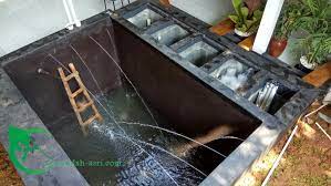 Posts about kedalaman kolam ikan koi written by tamanhijau90 Renovasi Kolam Koi Tukang Kolam Koi