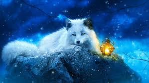 Sizing also makes later remov. Hd Wallpaper Dogs Arctic Fox Sleeping Snow White Wildlife Wallpaper Flare