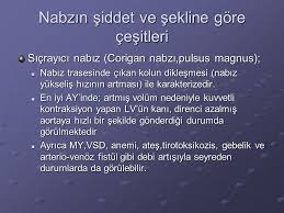 Sigma nabız bandı spor/fıtness activo. Kan Basinci Olcumu Arteriyel Nabizlar Ppt Video Online Indir