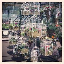 Maybe you would like to learn more about one of these? 10 Cara Kreatif Memanfaatkan Dekorasi Sangkar Burung Di Rumah