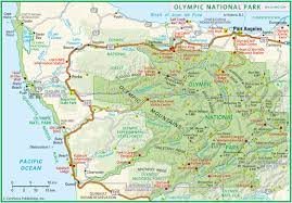 Olympic National Park Topographic Map Olympic National Park Wall Map By Geonova Mapsales