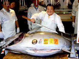 The ultimate tuna species guide. Why Is Bluefin Tuna So Expensive And Why Is Canned Tuna So Cheap
