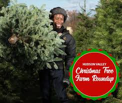 Check spelling or type a new query. Christmas Tree Farms Of The Hudson Valley