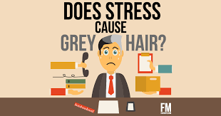 Stress Causes Hair To Turn Gray Fact Or Myth