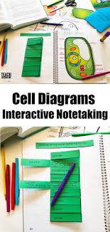 Maybe you would like to learn more about one of these? Cell Diagrams Interactive Notetaking With Animal Plant Cells Teach Beside Me