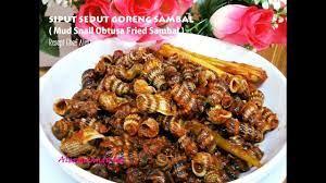 Siput Sedut Goreng Sambal Mud Snail Obtusa Fried Sambal Resepi Siput Snails Recipe Sambal Recipes