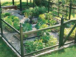 An electric fence might work against the deer, but i've heard that it needs to be at least 8′ tall because if it is shorter the deer can jump it easily. Grow A Healthy Vegetable Garden This Old House