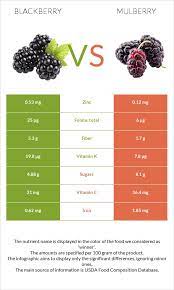 Blackberries grow on a thorny, bramble bush. Blackberry Vs Mulberry Health Impact And Nutrition Comparison