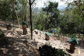 By encik shino on 13th april 2016. Madu Kelulut Mampu Bantu Jana Pendapatan Sarang Lebah Dibina Di Tanah Terbiar Sekolah Sekolah Tahfiz I Suke Mstar