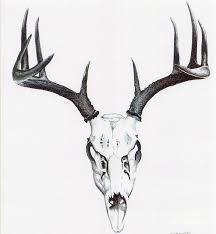 Black And White Deer Skull Tattoo Whitetail Skull Elizabeth Moug Jpg 832 900 Deer Skull Drawing Deer Skull Tattoos Hunting Tattoos