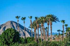 The distance between san diego and palm springs is approximately 85 miles, or 137 kilometers. Bus To Palm Springs Ca From 4 99 Flixbus The New Way To Travel