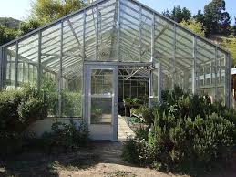 How to grow in a greenhouse? The Greenhouse Gardening Guide Proflowers Blog
