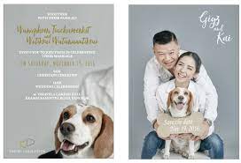 Wedding Invitation Card Make Your Cute Card With Your Favorite Dog 9to9studio Wedding Invitation Cards Celebrity Weddings Wedding Invitations