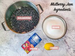Let stand in hot water until ready to use. Mulberry Jam And Other Mulberry Recipes Hilda S Kitchen Blog