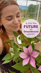 Commonly known as 'bleeding heart'