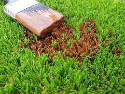 How To Remove Stains From Artificial Grass