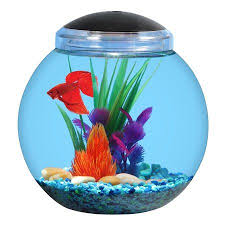 Pets Aqua Culture Betta Aquarium