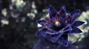 Blue flower designed by digital space. General 1920 1080 Digital Art Plants Lotus Flowers Flowers Blue Flowersgeneral 1920 1080 Digital Art Plants Lotus Flowers Flowers Blue Flowers Six Picture